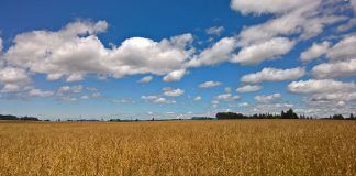 Lumia  Panorama Shot Px