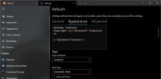 Windows-Terminal-Appearance-Preview-Microsoft