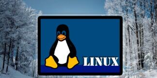 Featured - How to install Windows Subsystem for Linux (WSL) on Windows 11