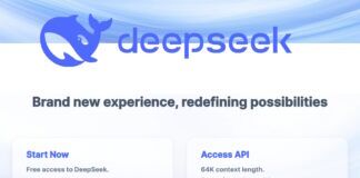DeepSeek