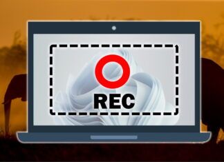 How to Capture The Screen on Windows 11 as Video – 6 Methods Step-By-Step How to Screen Record on Windows 11