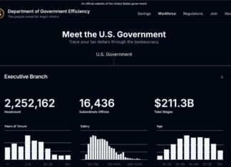 Doge.gov website
