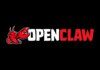 OpenClaw