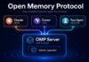 Open Memory Protocol (OMP)
