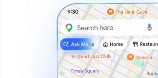 Google Maps Ask Maps