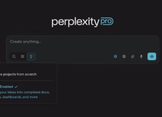 Perplexity Pro Labs