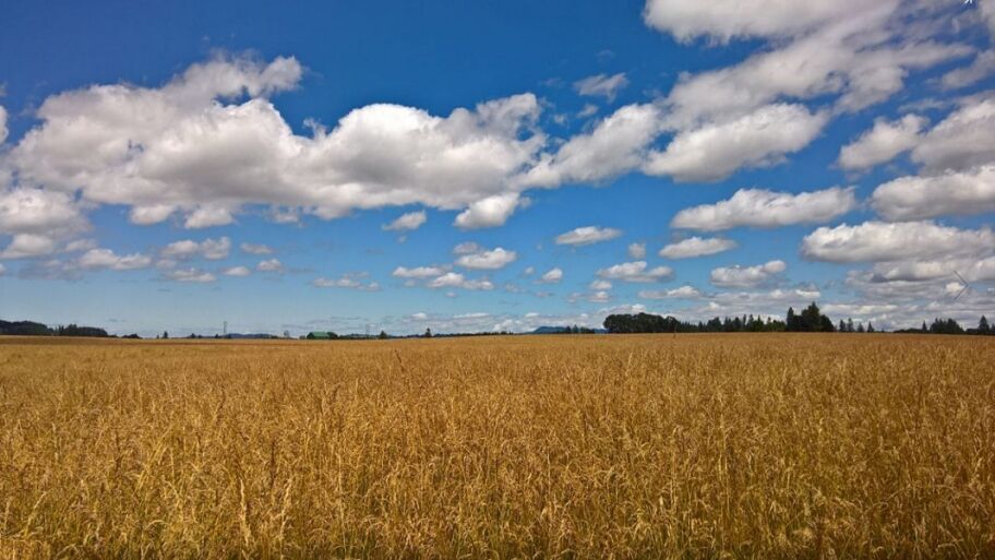 Lumia  Panorama Shot Px