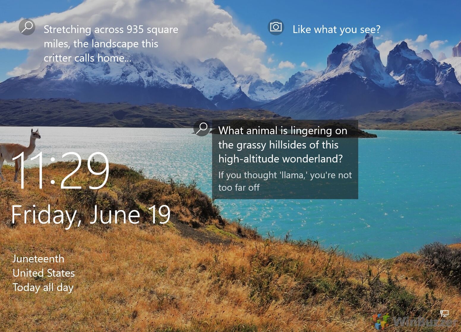 Windows Spotlight Not Working? Fix It with a Reset or Re-Register
