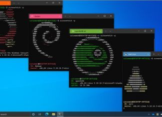 WSL-2-Microsoft-Build-Linux-Subsystem