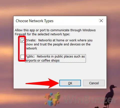 Windows 10 - Control Panel - Windows Defender Firewall - Allow App - Change Settings Allow Another App - Network Types - Choose - Accept