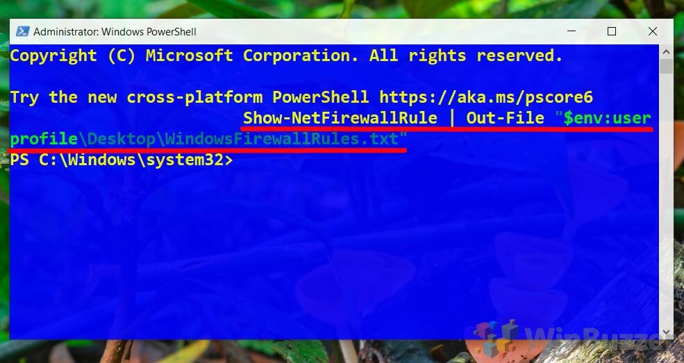 Windows 10 - Elevated PowerShell - Enter the Cmd