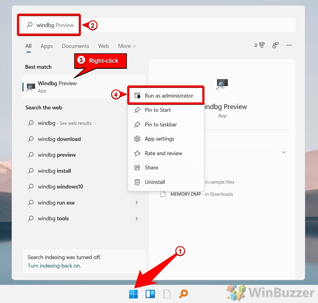 Windows 11 - Start - Search for Windbg - Run as Admin