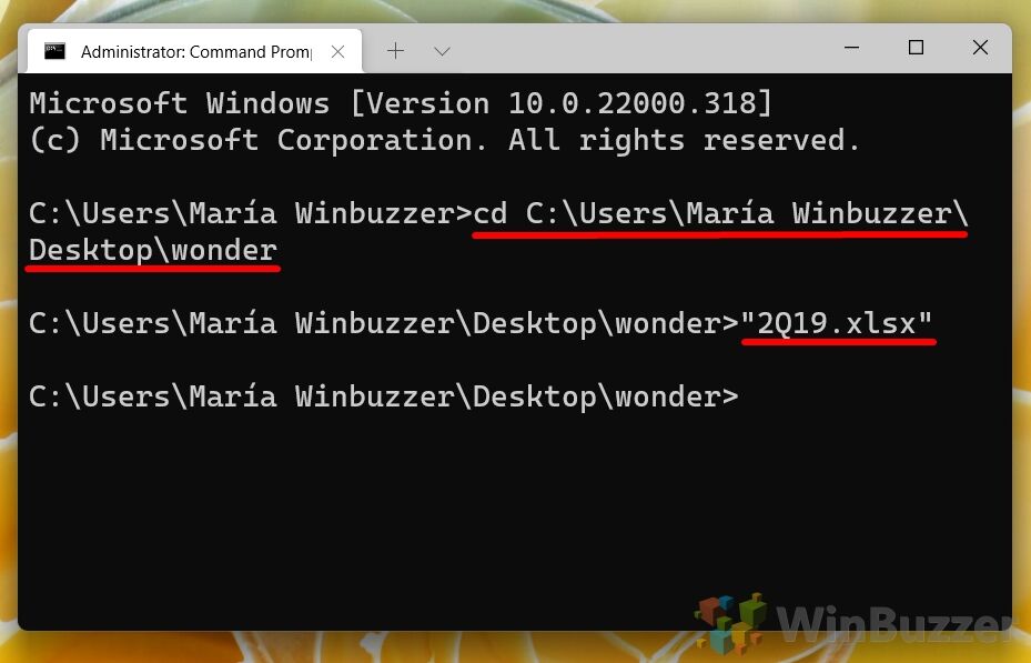 Windows 11 - Elevated Windows Terminal - Command Prompt - Enter the Cmds to Open File