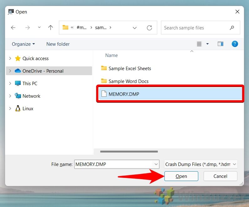 Windows 11 - Windbg - File - Start Debugging - Open Dump File - Browse - Select .DMP File - Open