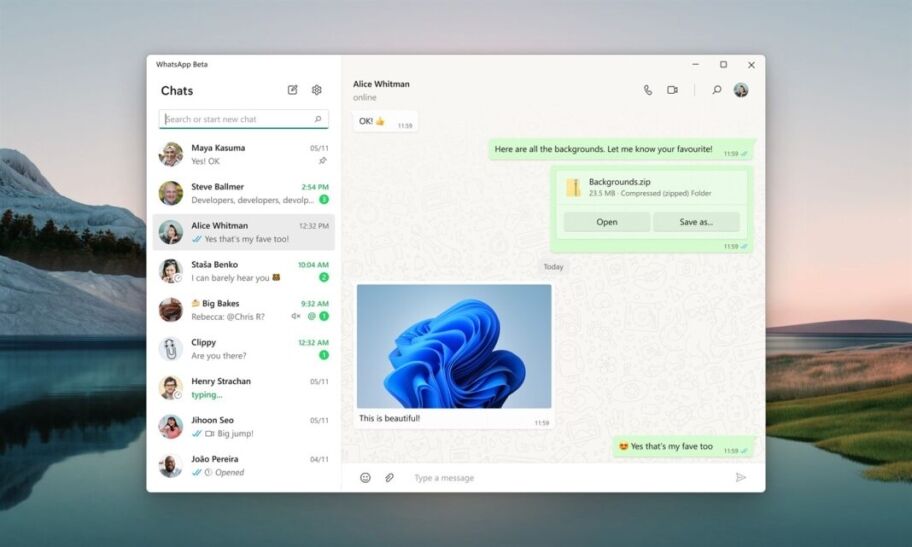 WhatsApp Windows 11 app chat window