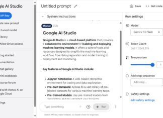 Google AI Studio own