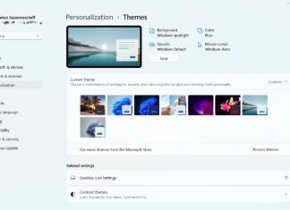 Windows 11 Settings Themes