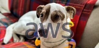 Amazon AWS Nova Reels AI Video model
