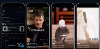 X Social Video Feed