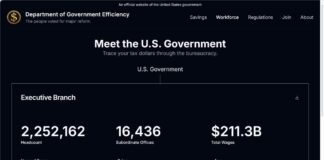 Doge.gov website