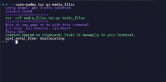Open Codex CLI