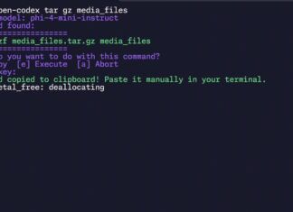 Open Codex CLI